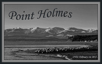 Point Holmes
